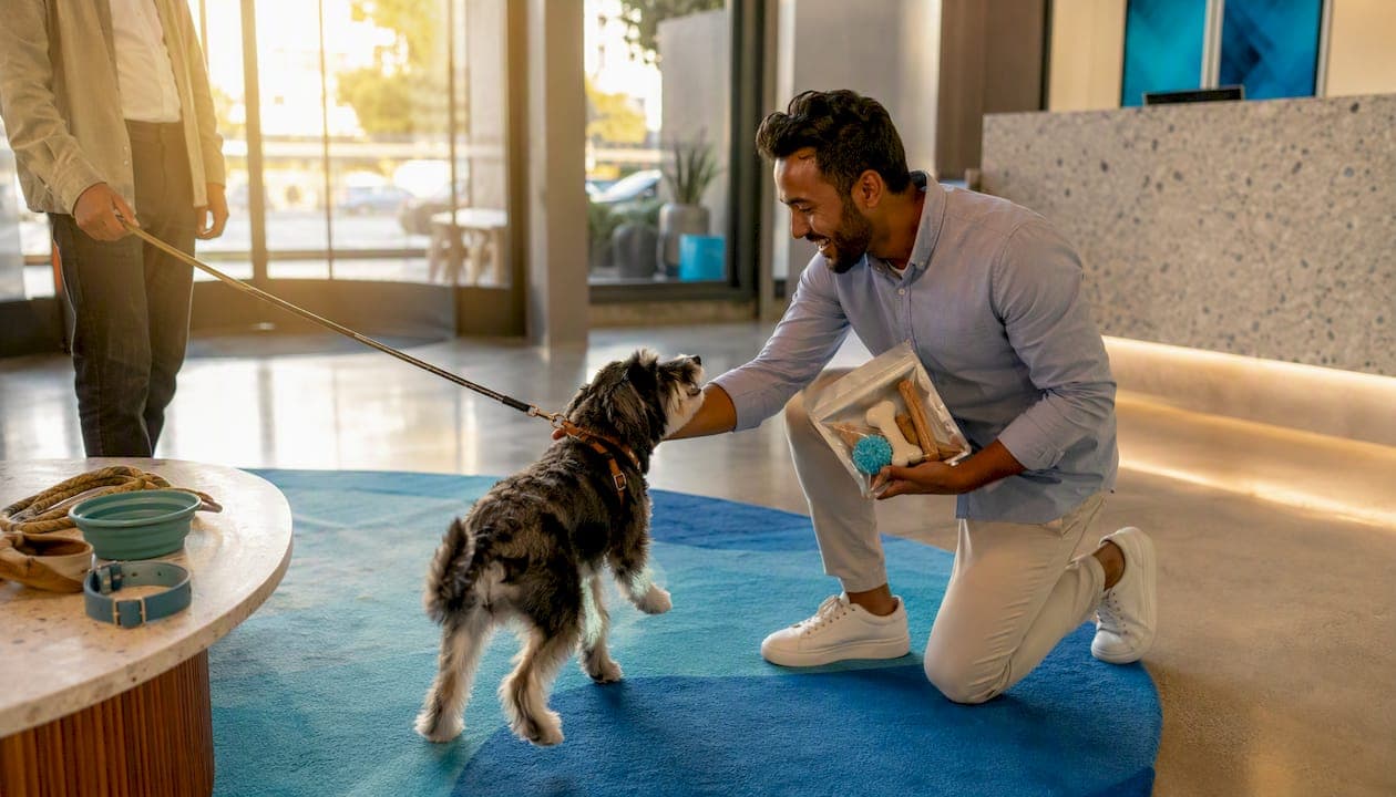 Best Pet Friendly Hotels in the U.S.: Top Picks for 2026